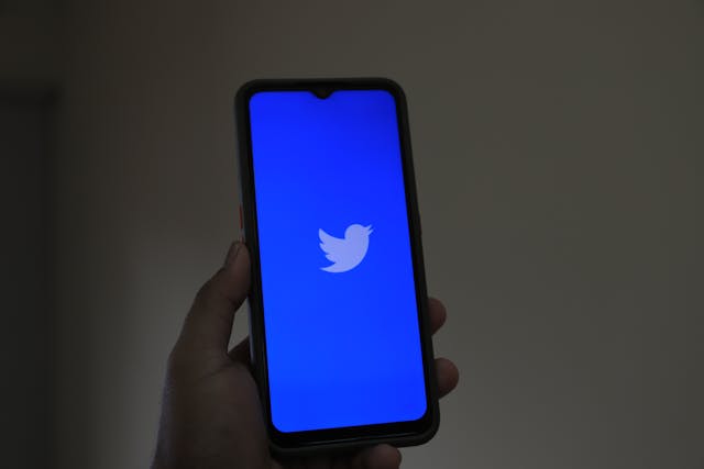 Someone holding a smartphone with the white Twitter logo on a bright blue screen.