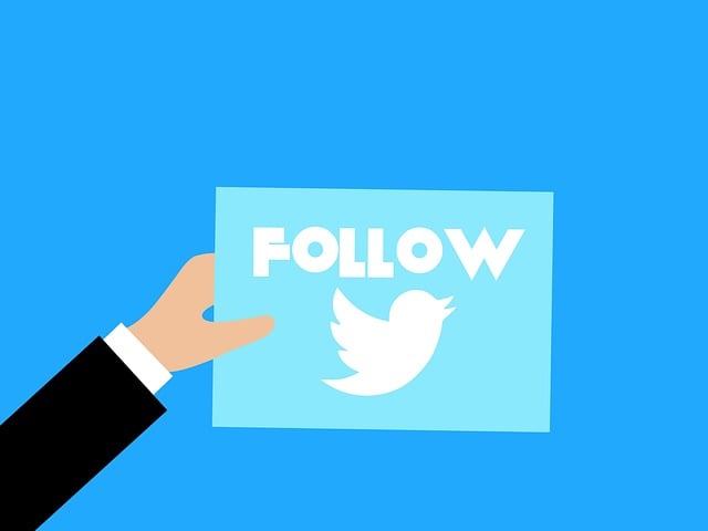 An illustration of a person with a card with the word “FOLLOW” above a bird logo.