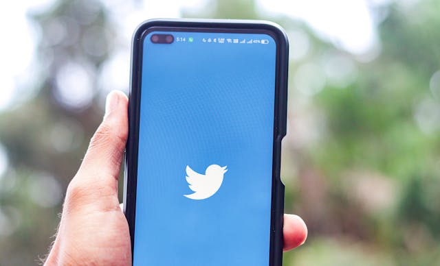 A person holding a mobile phone with the Twitter icon in the center of a blue screen.